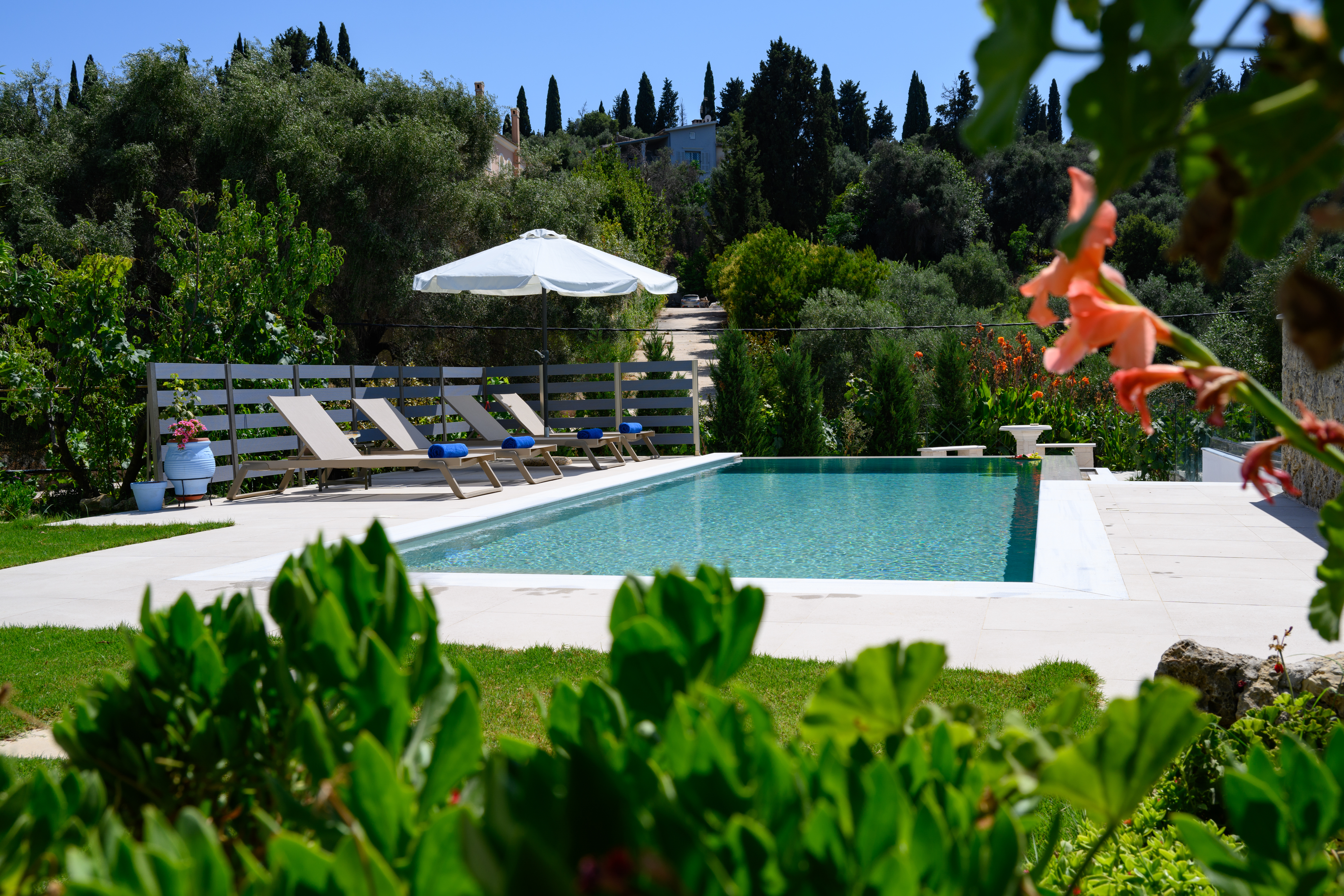 Garden flowers and pool view at Olga’s Luxury Villa in Corfu